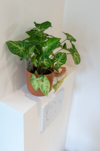 badkamer_072025-7838