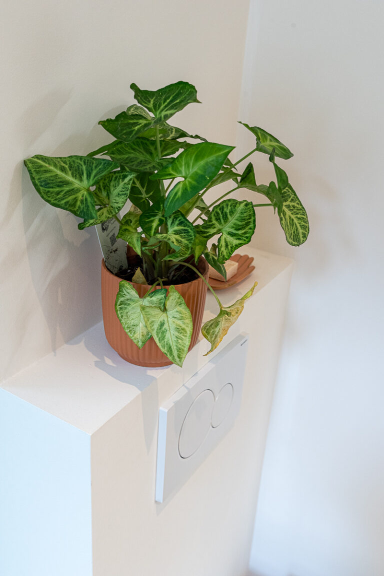 badkamer_072025-7838